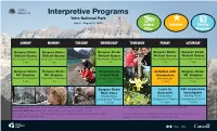 Interpretive Programs in Yoho National Park