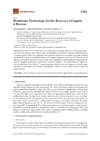 Membrane Technology for the Recovery of Lignin: a Review