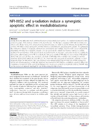 NPI-0052 and Γ-Radiation Induce a Synergistic Apoptotic Effect In