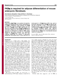 PKB Is Required for Adipose Differentiation of Mouse Embryonic