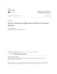 Precise Detection of Injection Attacks on Concrete Systems Clayton Whitelaw University of South Florida, Cwhitela@Mail.Usf.Edu