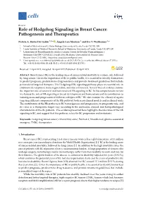 Role of Hedgehog Signaling in Breast Cancer: Pathogenesis and Therapeutics