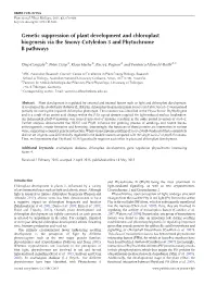Genetic Suppression of Plant Development and Chloroplast Biogenesis Via the Snowy Cotyledon 3 and Phytochrome B Pathways