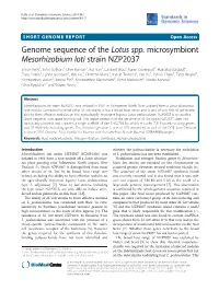 Genome Sequence of the Lotus Spp. Microsymbiont Mesorhizobium Loti