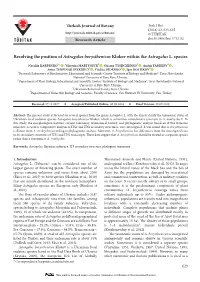 Resolving the Position of Astragalus Borysthenicus Klokov Within the Astragalus L