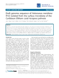 Draft Genome Sequence of Halomonas Meridiana R1t3 Isolated from the Surface Microbiota of the Caribbean Elkhorn Coral Acropora Palmata Julie L