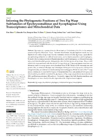Inferring the Phylogenetic Positions of Two Fig Wasp Subfamilies of Epichrysomallinae and Sycophaginae Using Transcriptomes and Mitochondrial Data