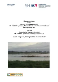 MP 1322-391 Treene Hollingstedt Friedrichstad Endfassung