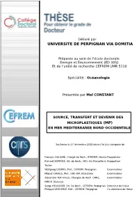 Source, Transfert Et Devenir Des Microplastiques (Mps) En Mer