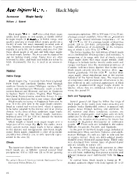Acer Nigrum Michx, F