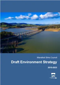 Draft Environment Strategy