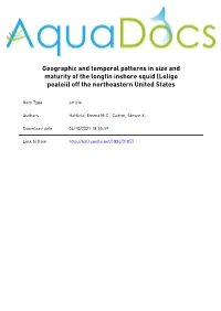 Geographic and Temporal Patterns in Size and Maturity of the Longfin Inshore Squid (Loligo Pealeii) Off the Northeastern United States
