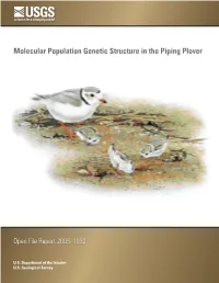 Molecular Population Genetic Structure in the Piping Plover