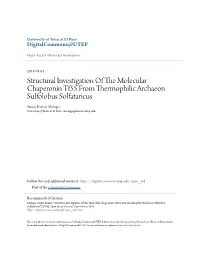 Structural Investigation of the Molecular Chaperonin Tf55 From