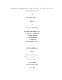 Heterogeneous Production of Perchlorate and Chlorate By