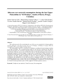 Siliceous Raw Material Consumption During the Late Upper Palaeolithic In