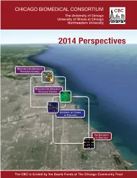 2014 Perspectives