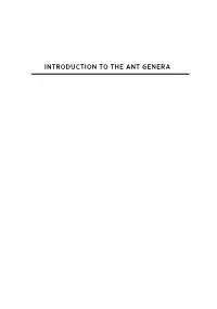 Introduction to the Ant Genera