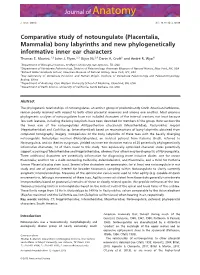 (Placentalia, Mammalia) Bony Labyrinths and New Phylogenetically Informative Inner Ear Characters Thomas E
