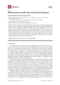 Phleboviruses and the Type I Interferon Response