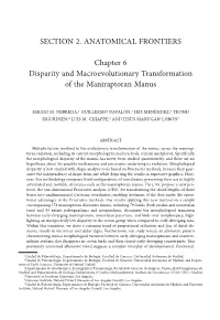SECTION 2. ANATOMICAL FRONTIERS Chapter 6 Disparity