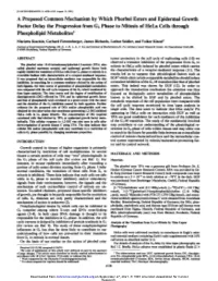 A Proposed Common Mechanism by Which Phorbol Esters And