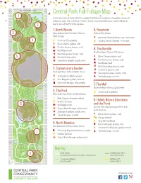 Fall Foliage Map 1 in the Fall, Many of Central Park’S Roughly 18,000 Trees Transform Into Golden Shades of Yellow, Orange, Red, and More