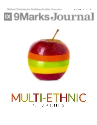 Multi-Ethnic Churches