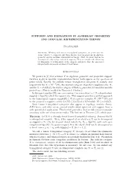 Supports and Filtrations in Algebraic Geometry and Modular Representation Theory