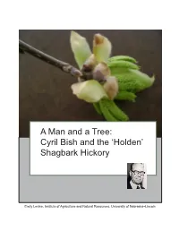 A Man and a Tree: Cyril Bish and the 'Holden' Shagbark Hickory