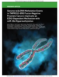 Genome-Wide DNA Methylation Events in TMPRSS2–ERG Fusion-Negative Prostate Cancers Implicate an EZH2-Dependent Mechanism with Mir-26A Hypermethylation