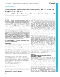 Patterning and Gastrulation Defects Caused by the Tw18 Lethal Are Due