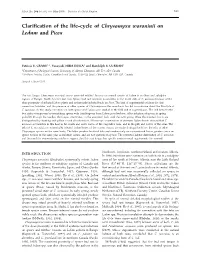 Clarification of the Life-Cycle of Chrysomyxa Woroninii on Ledum