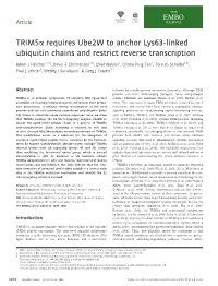 Trim5o Requires Ube2w to Anchor Lys63-Linked Ubiquitin Chains And