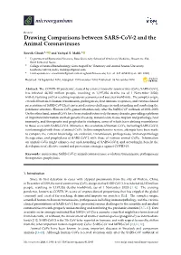 Drawing Comparisons Between SARS-Cov-2 and the Animal Coronaviruses