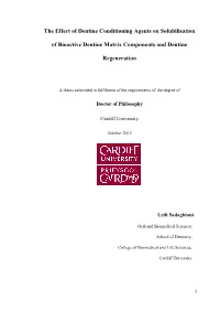 Effects of Dentine Matrix Extracts on Phenotype and Behaviour of Dental Pulp Progenitor Cells