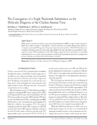 The Consequence of a Single Nucleotide Substitution on The