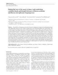 Traits Underlying Combined Shade and Drought Tolerance of Ruscus Aculeatus and Ruscus Microglossum (Asparagaceae)