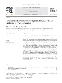 Neurotransmitter Transporters Expressed in Glial Cells As Regulators of Synapse Function