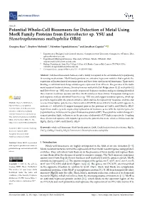 Potential Whole-Cell Biosensors for Detection of Metal Using Merr Family Proteins from Enterobacter Sp