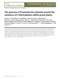 The Genome of Prasinoderma Coloniale Unveils the Existence of a Third Phylum Within Green Plants