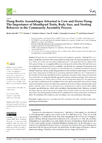 Dung Beetle Assemblages Attracted to Cow and Horse Dung: the Importance of Mouthpart Traits, Body Size, and Nesting Behavior in the Community Assembly Process