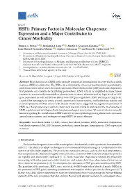 HSF1: Primary Factor in Molecular Chaperone Expression and a Major Contributor to Cancer Morbidity