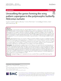 Unravelling the Genes Forming the Wing Pattern Supergene in the Polymorphic Butterfy Heliconius Numata Suzanne V