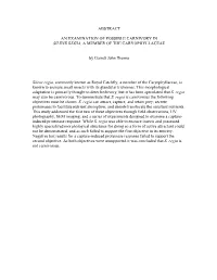 Abstract an Examination of Possible Carnivory in Silene