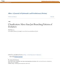 Classification: More Than Just Branching Patterns of Evolution Tod F