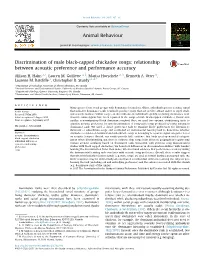 Discrimination of Male Black-Capped Chickadee Songs: Relationship Between Acoustic Preference and Performance Accuracy