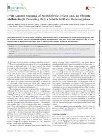 Draft Genome Sequence of Methyloferula Stellata AR4, an Obligate Methanotroph Possessing Only a Soluble Methane Monooxygenase