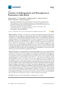 Genetics of Arthrogryposis and Macroglossia in Piemontese Cattle Breed