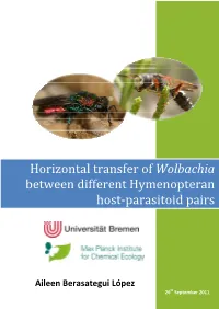 Horizontal Transfer of Wolbachia Between Different Hymenopteran